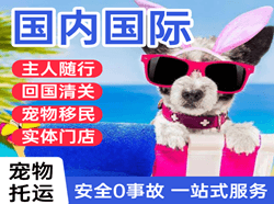 济南遥墙机场托运国际宠物托运 【国